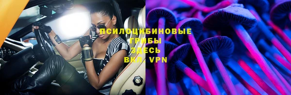 мдпв Володарск