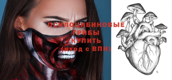 мдпв Володарск