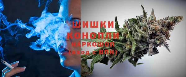 мдпв Володарск